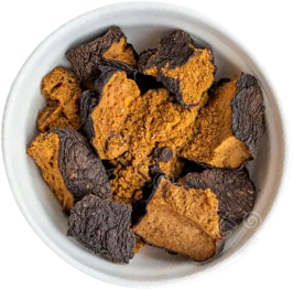 Chaga